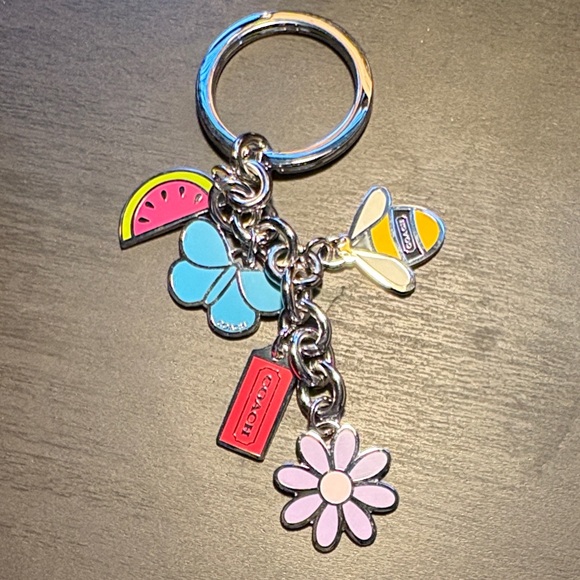 Coach Accessories - Coach Colorful Charm Keychain